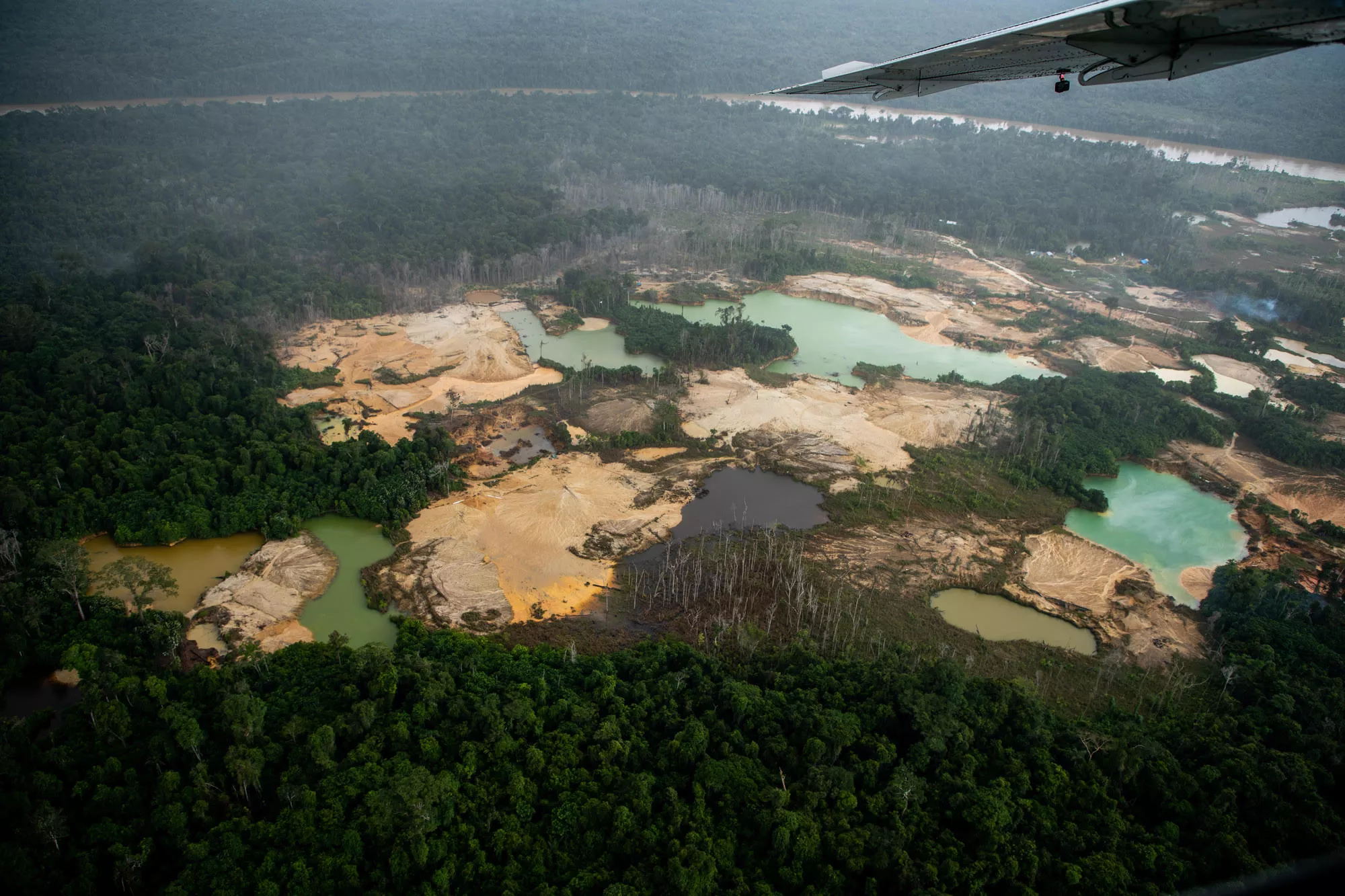S.O.S Yanomami: líderes relatam a política de extermínio que está destruindo o território indígena (Foto: Divulgação)