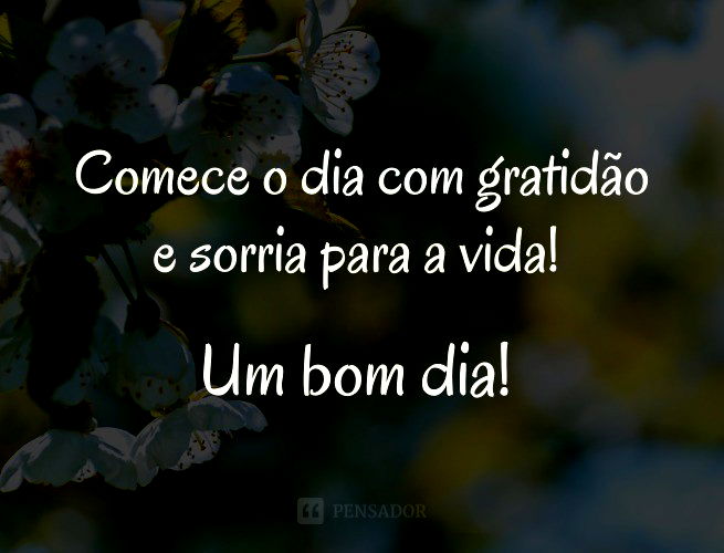 Comece O Dia Com Gratidão E Sorria Para A Vida! Um Bom Dia!