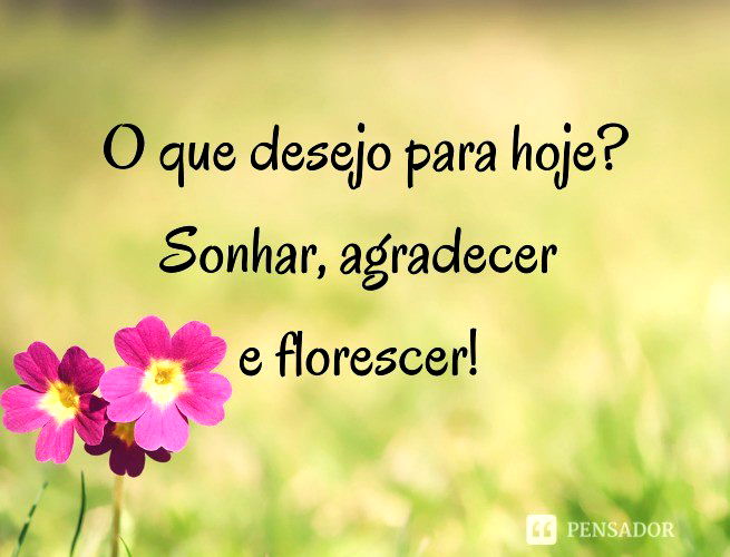 O Que Desejo Para Hoje? Sonhar, Agradecer E Florescer!