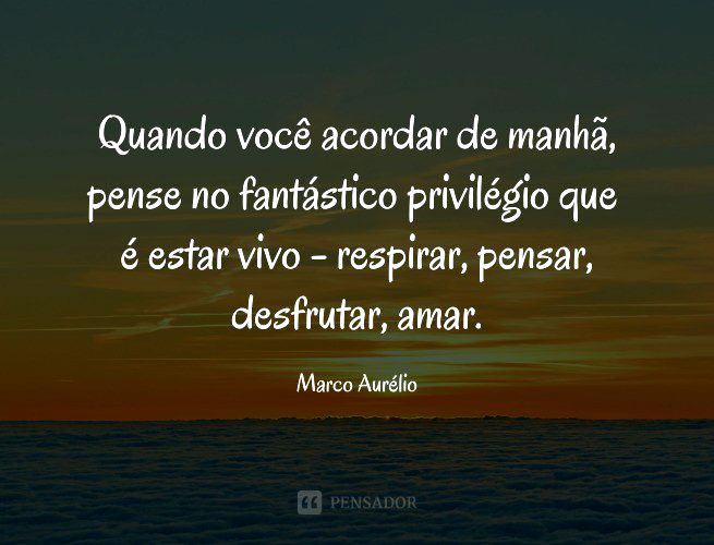 Quando Você Acordar De Manhã, Pense No Fantástico Privilégio Que É Estar Vivo - Respirar, Pensar, Desfrutar, Amar. Marco Aurélio